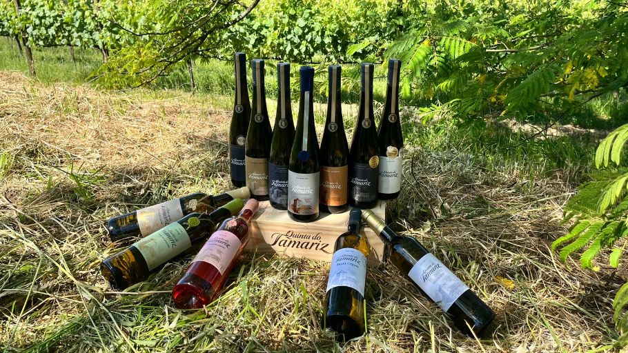Vinhos Verdes distinguem 73 referências. Barcelos surge entre premiados com a Quinta do T...